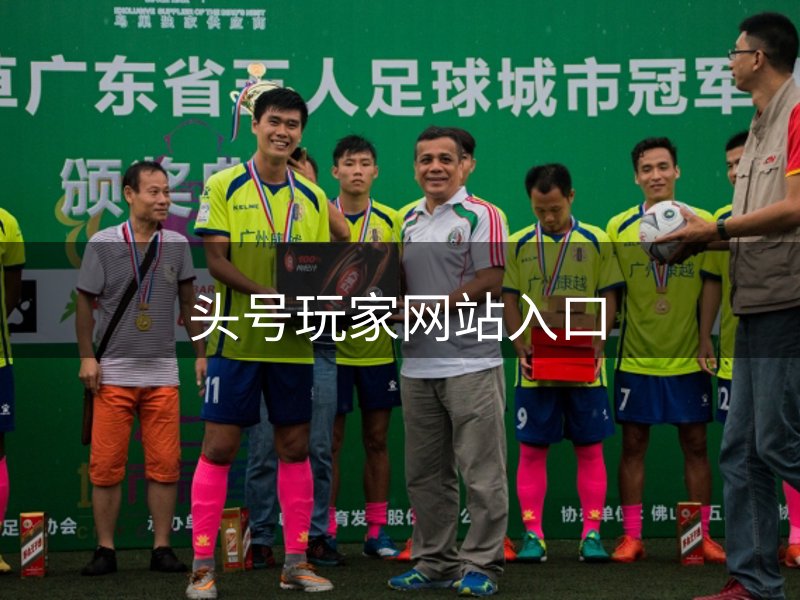 网站介绍